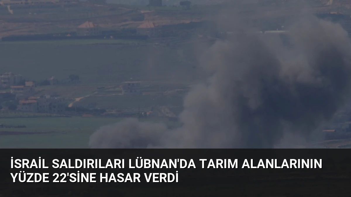 İsrail Saldırıları Lübnan’da Tarım Alanlarının Yüzde 22’sine Hasar Verdi