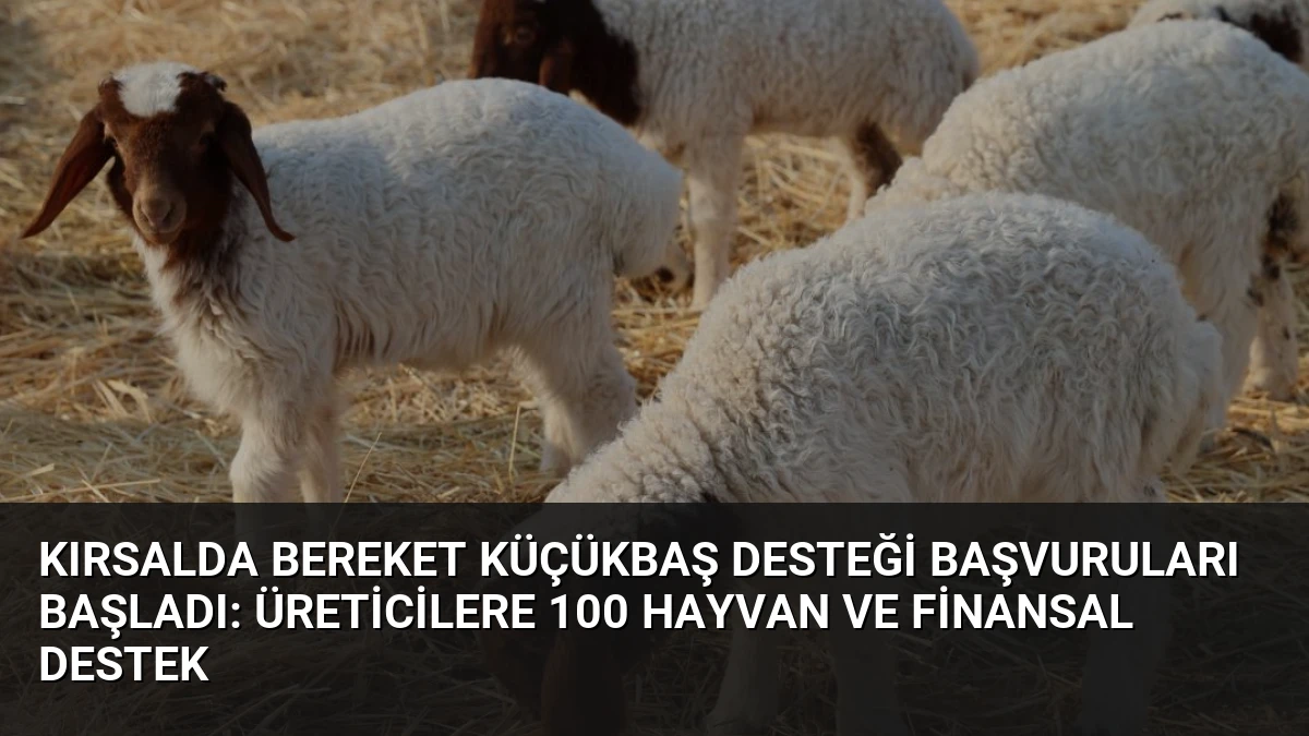 Kırsalda Bereket Küçükbaş Desteği Başvuruları Başladı: Üreticilere 100 Hayvan ve Finansal Destek