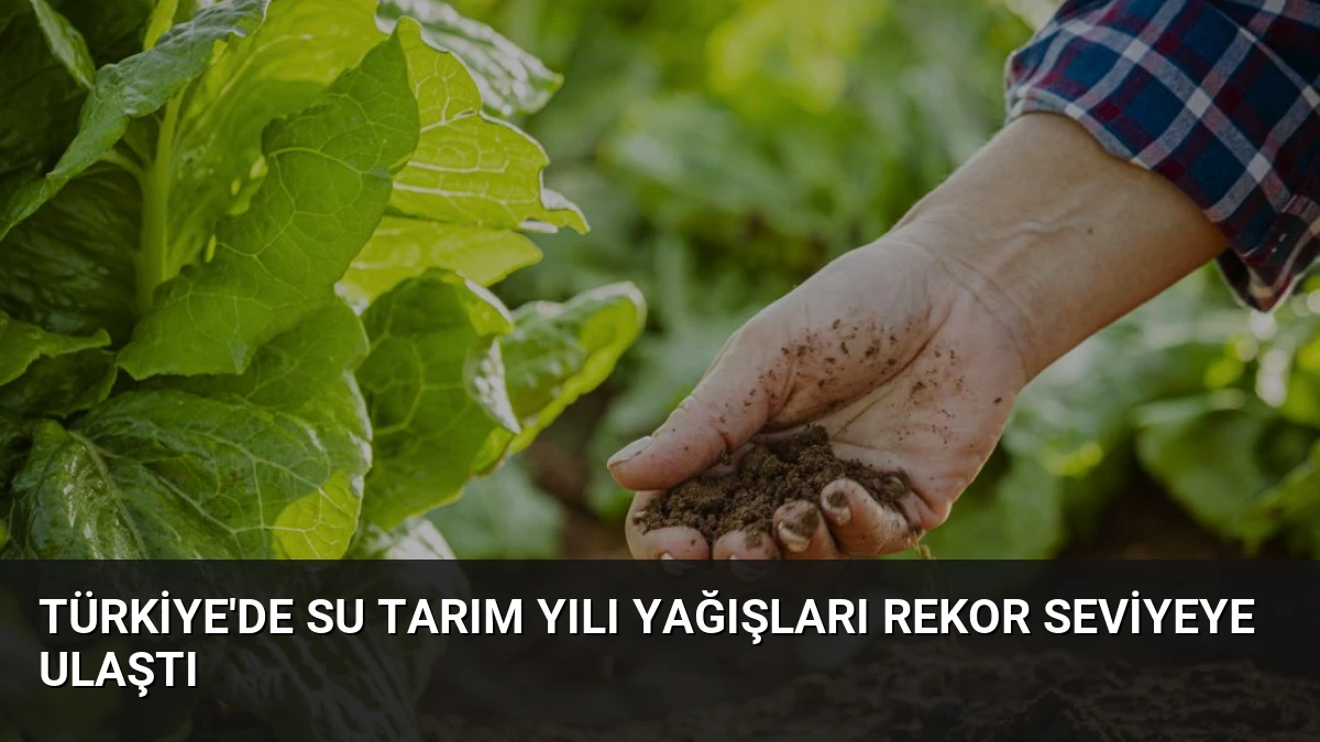 Türkiye’de Su Tarım Yılı Yağışları Rekor Seviyeye Ulaştı
