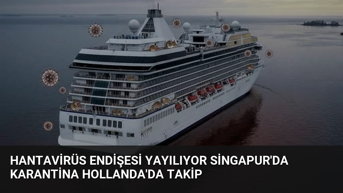 Hantavirüs Endişesi Yayılıyor Singapur’da Karantina Hollanda’da Takip