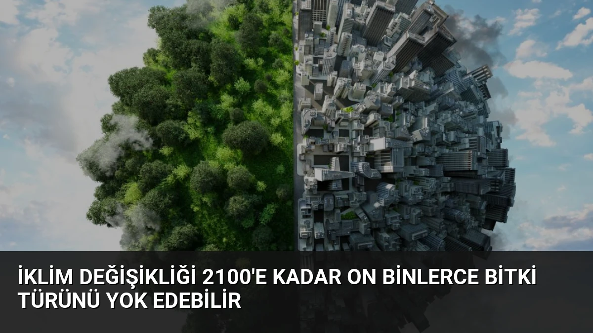 İklim Değişikliği 2100’e Kadar On Binlerce Bitki Türünü Yok Edebilir
