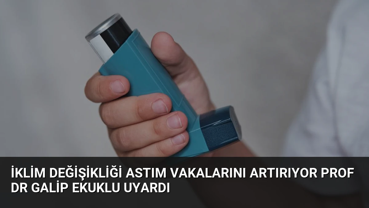 İklim Değişikliği Astım Vakalarını Artırıyor Prof Dr Galip Ekuklu Uyardı