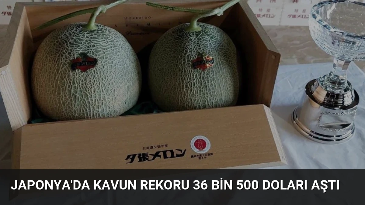 Japonya’da Kavun Rekoru 36 Bin 500 Doları Aştı