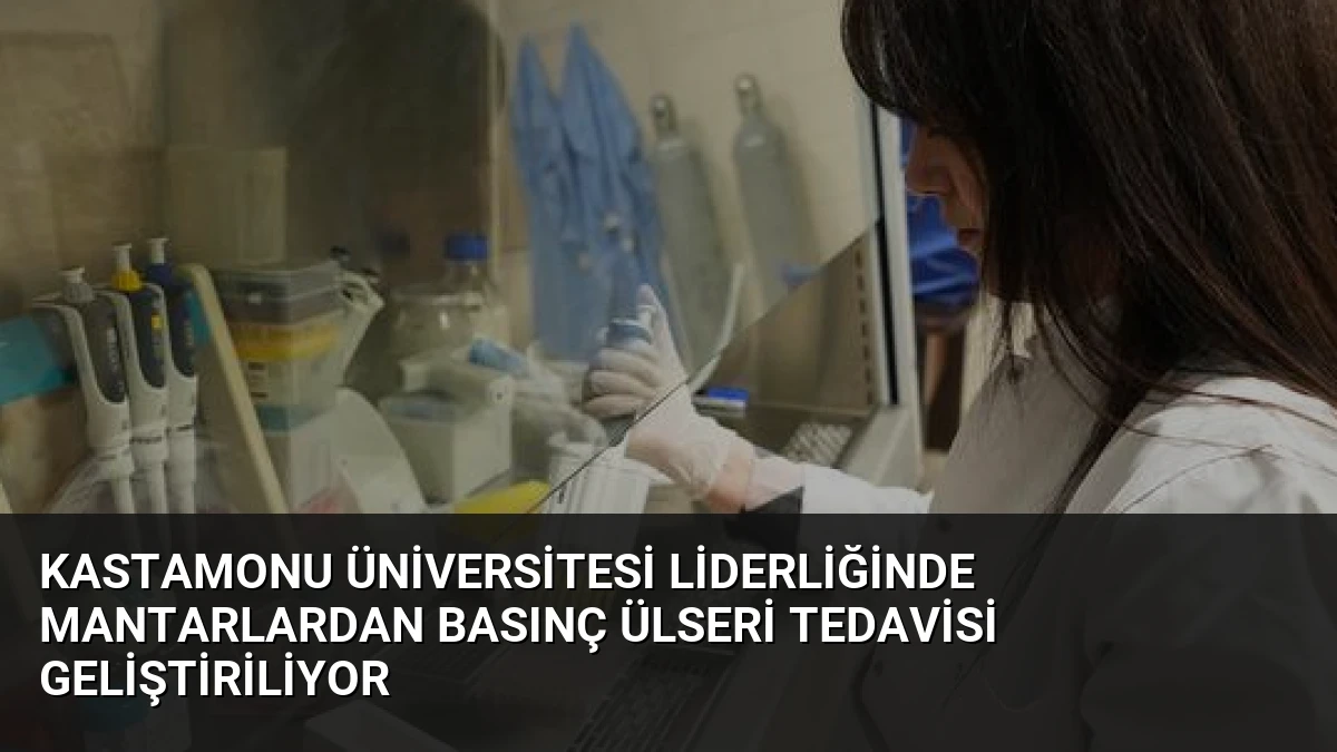 Kastamonu Üniversitesi Liderliğinde Mantarlardan Basınç Ülseri Tedavisi Geliştiriliyor