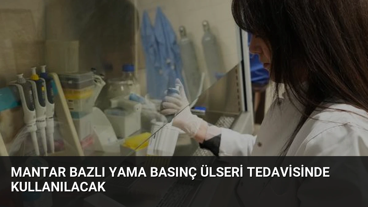 Mantar Bazlı Yama Basınç Ülseri Tedavisinde Kullanılacak