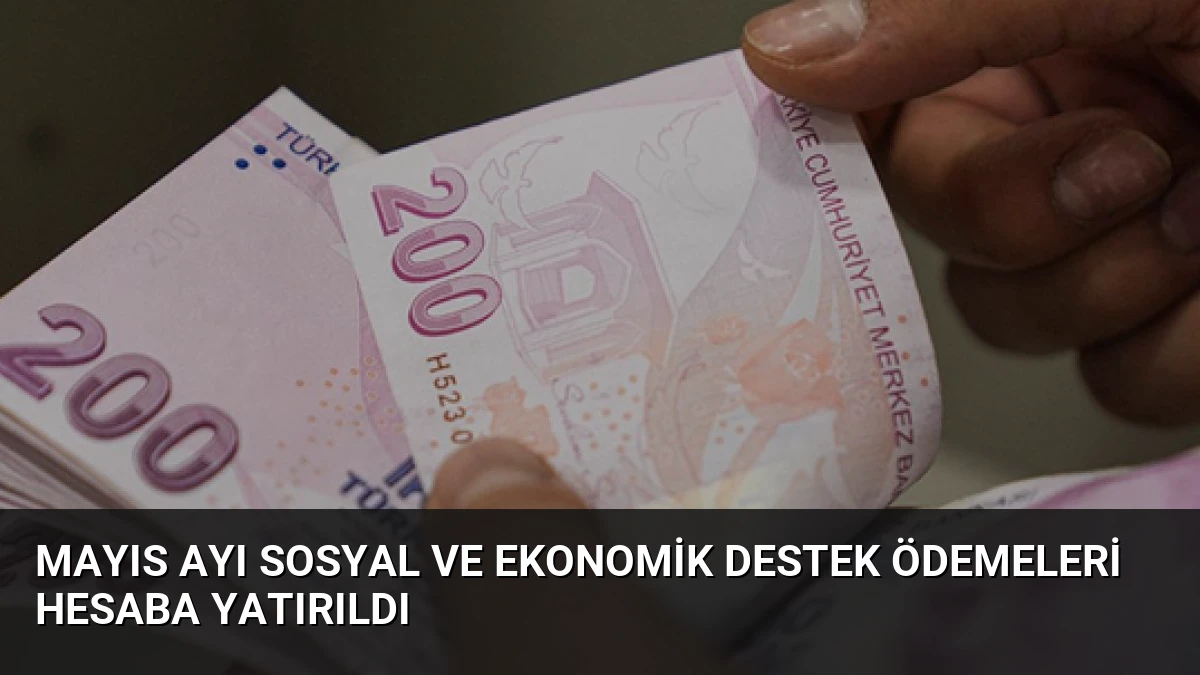 Mayıs Ayı Sosyal ve Ekonomik Destek Ödemeleri Hesaba Yatırıldı
