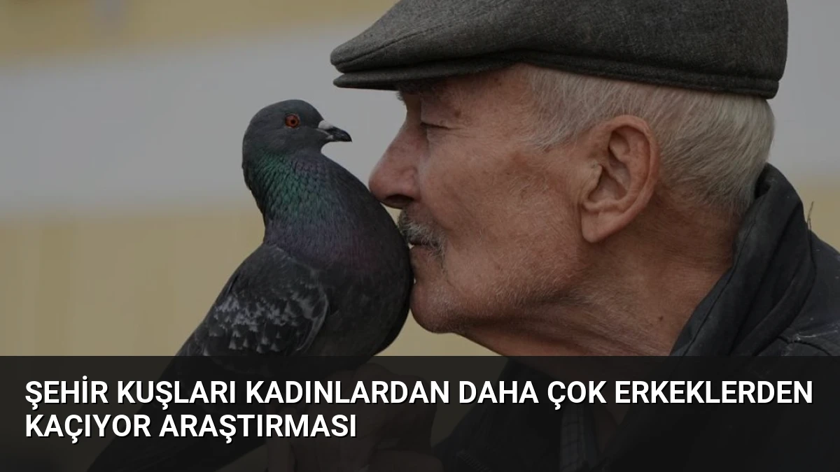 Şehir Kuşları Kadınlardan Daha Çok Erkeklerden Kaçıyor Araştırması