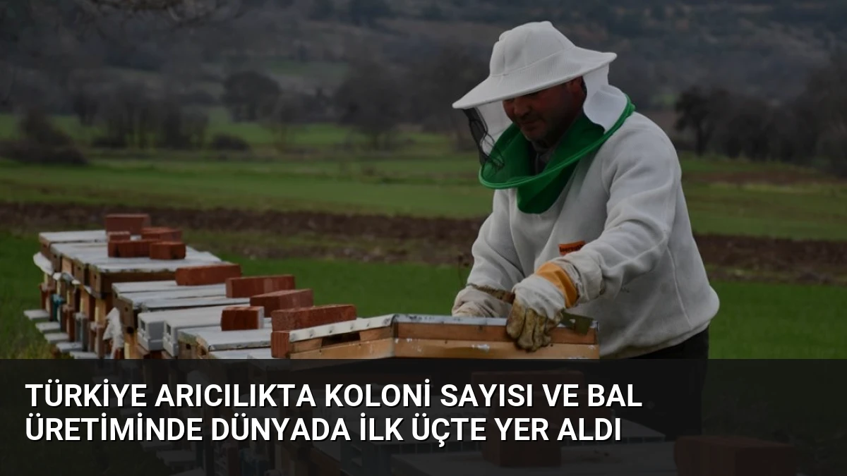 Türkiye Arıcılıkta Koloni Sayısı ve Bal Üretiminde Dünyada İlk Üçte Yer Aldı