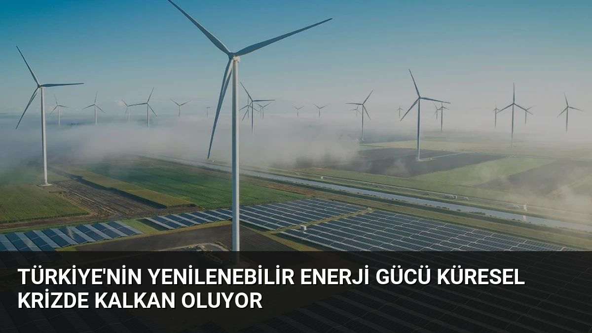 Türkiye’nin Yenilenebilir Enerji Gücü Küresel Krizde Kalkan Oluyor