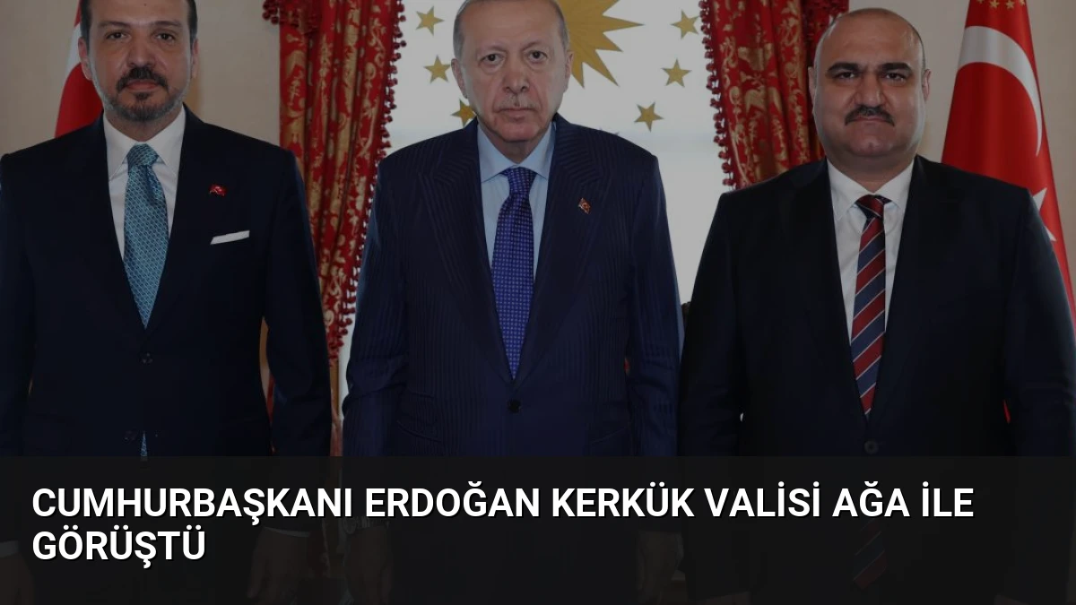 Cumhurbaşkanı Erdoğan Kerkük Valisi Ağa ile Görüştü