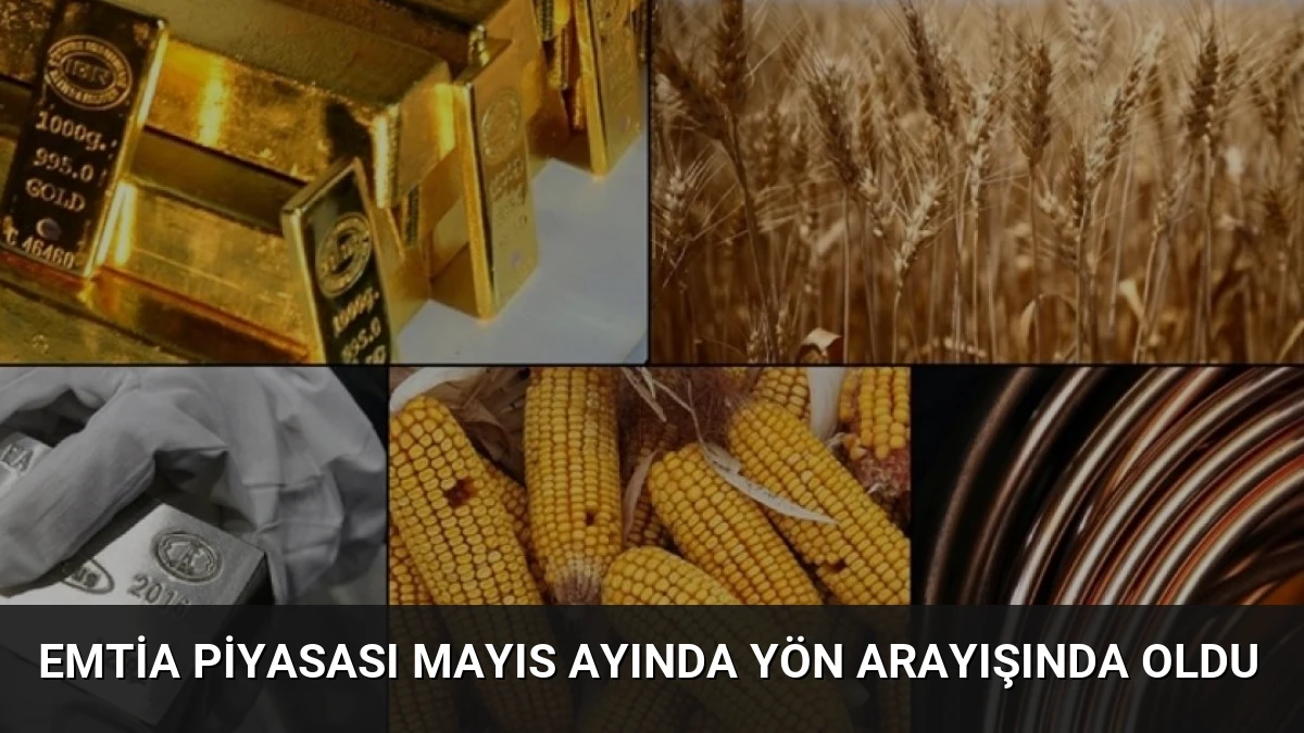Emtia Piyasası Mayıs Ayında Yön Arayışında Oldu