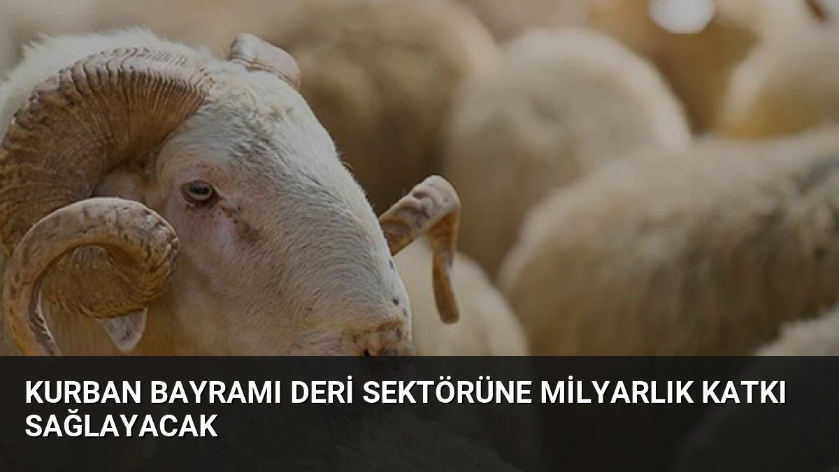 Kurban Bayramı Deri Sektörüne Milyarlık Katkı Sağlayacak