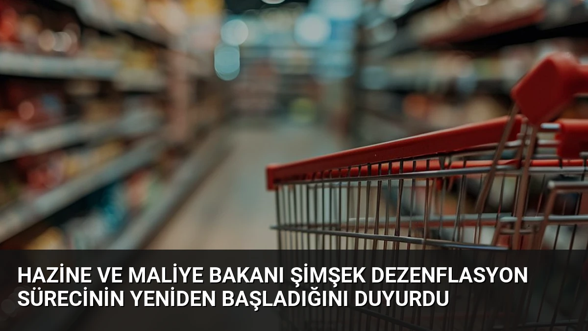 Hazine ve Maliye Bakanı Şimşek Dezenflasyon Sürecinin Yeniden Başladığını Duyurdu