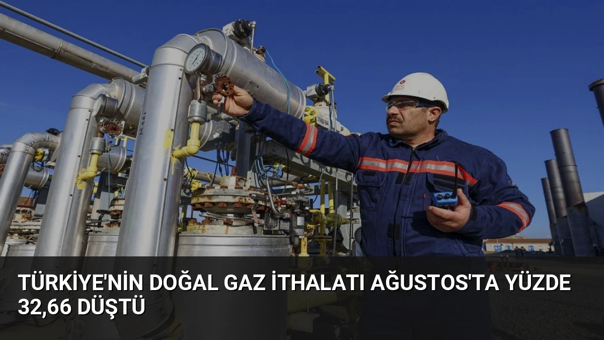 Türkiye’nin Doğal Gaz İthalatı Ağustos’ta Yüzde 32,66 Düştü
